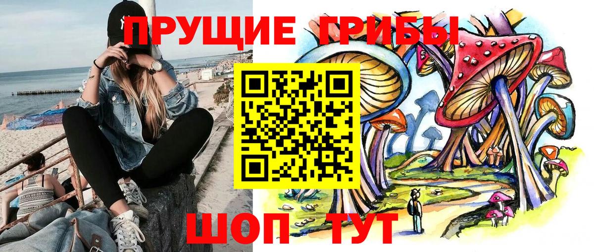 Галлюциногенные грибы мицелий  Вход с VPN  Кирово-Чепецк  Галлюциногенные грибы Psilocybe 