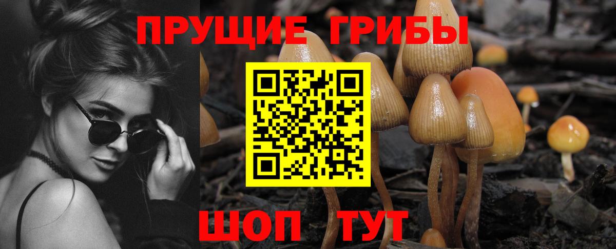 Псилоцибиновые грибы мицелий Кирово-Чепецк